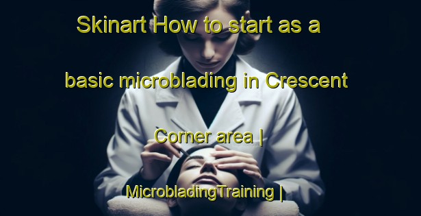 Skinart How to start as a basic microblading in Crescent Corner area | MicrobladingTraining | MicrobladingClasses | SkinartTraining-United States